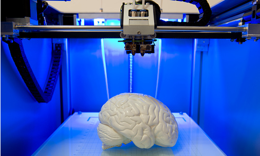 3D Printed Brain